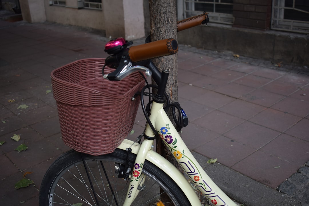 Blog Image